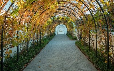 Quels matériaux choisir pour mettre en place une allée de jardin ?