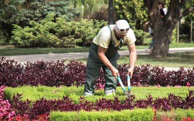 Quels protection pour la sécurité du jardinier?