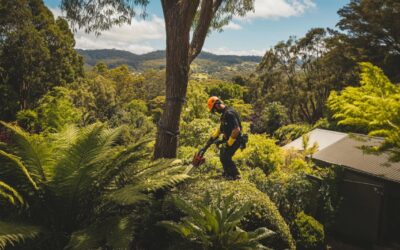 Pourquoi faire appel à un élagueur à Buron pour vos arbres ?